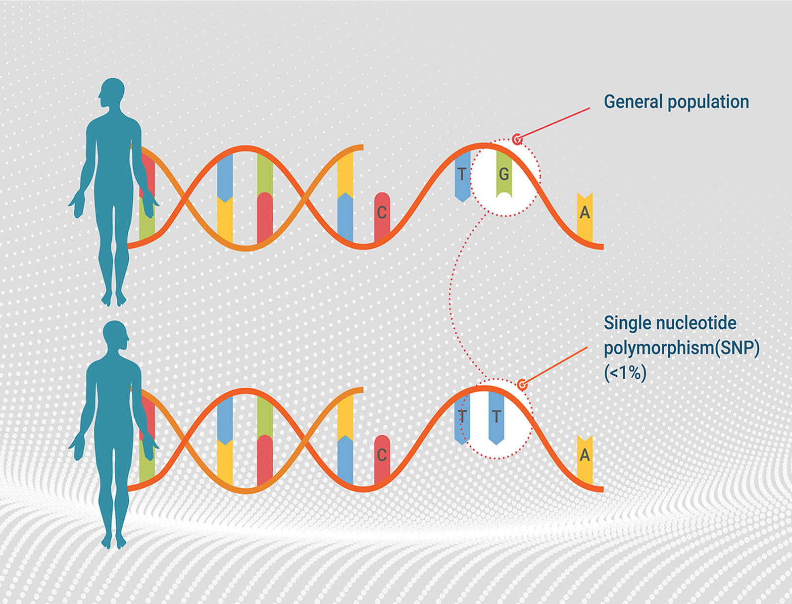 genoguard-img-04